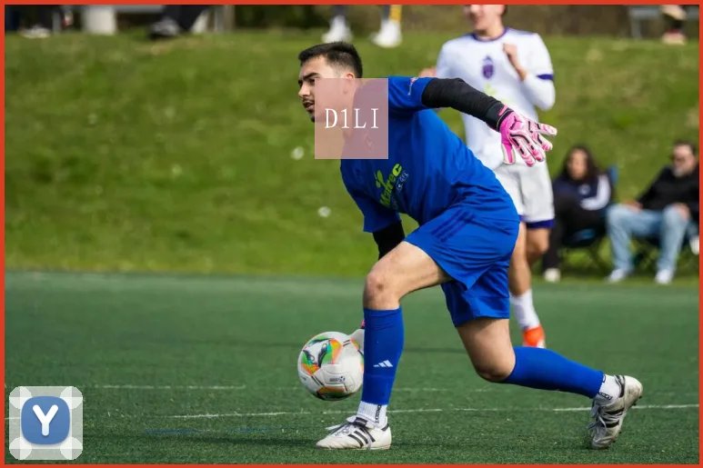 D1LI