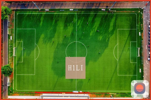 H1LI